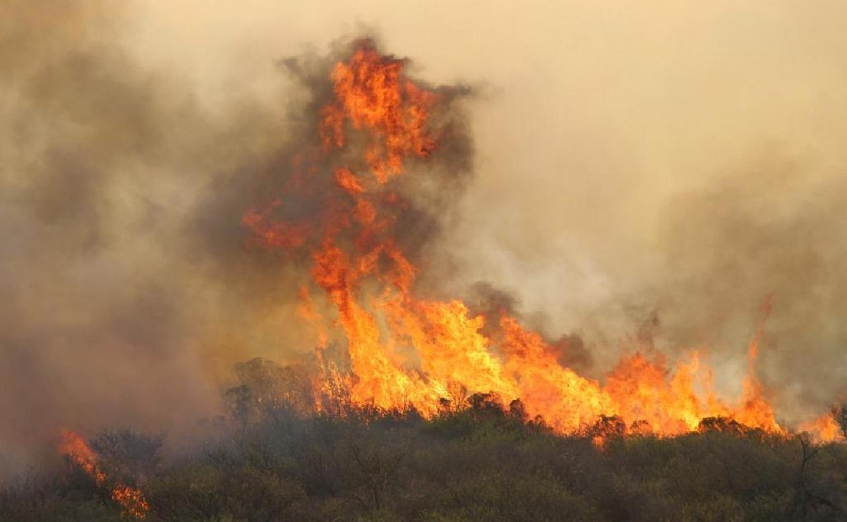 FOTO: Más de 20.000 hectáreas quemadas por los incendios. (Daniel Cáceres/Cadena 3)