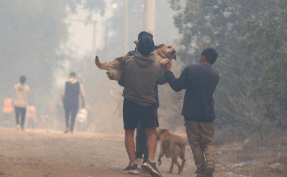 FOTO: Incendio en Capilla del Monte (Foto: Daniel Cáceres/Cadena 3).