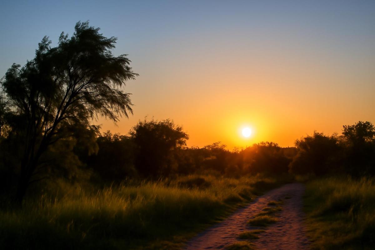 Clima en Santa Fe: pronóstico del tiempo para el 18 de diciembre