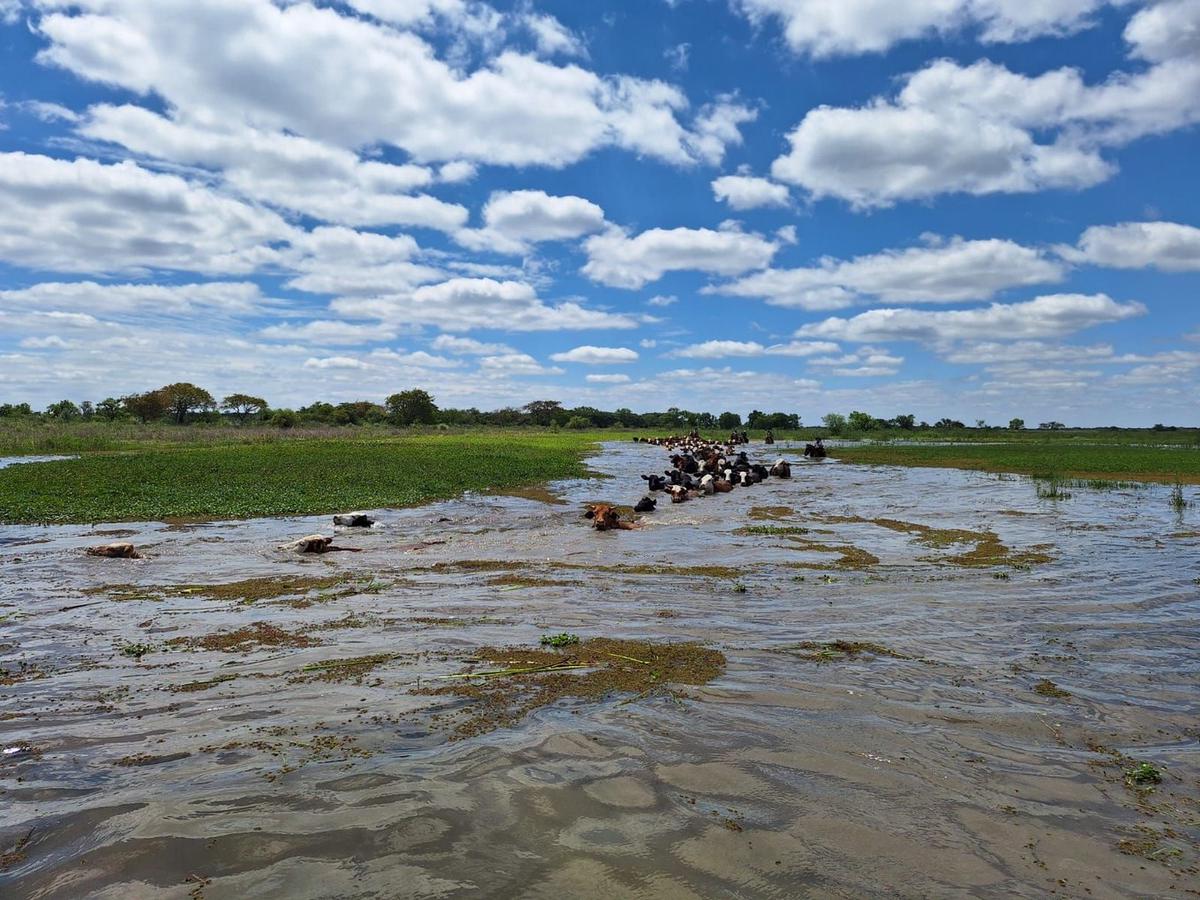 Crecida del río