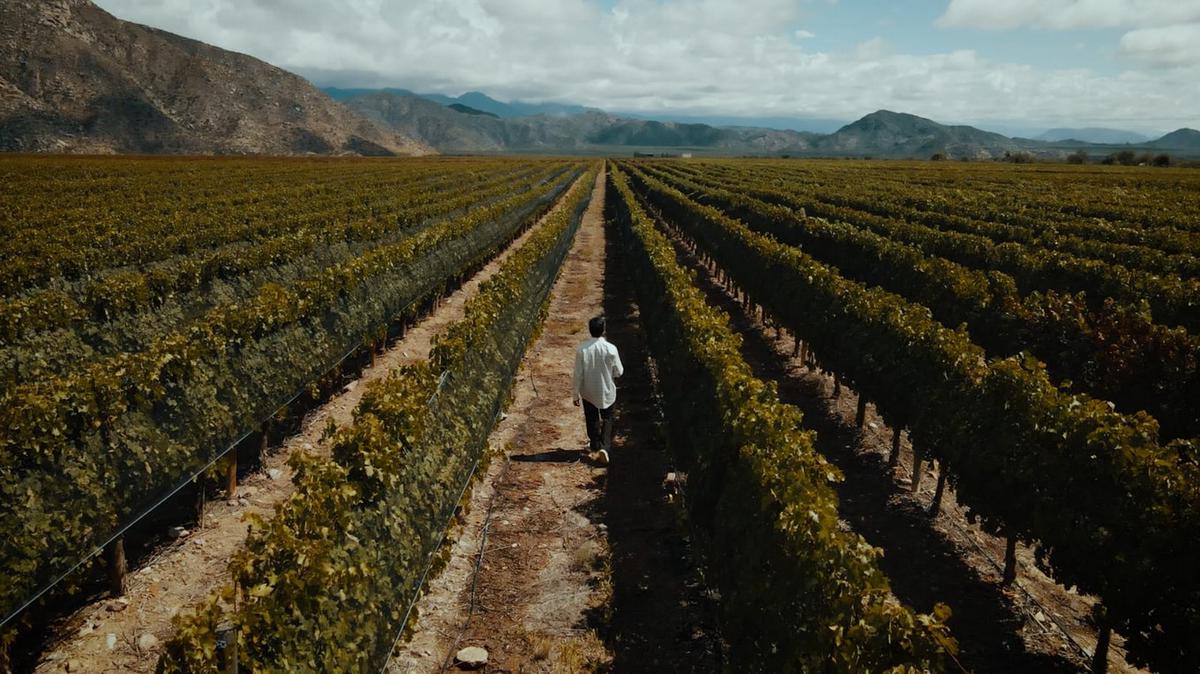 La Rioja, un destino al que siempre se quiere volver