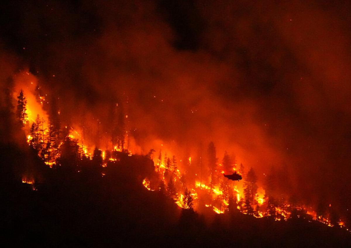 Trump culpa a Canadá de los incendios forestales, pero expertos apuntan al calentamiento global
