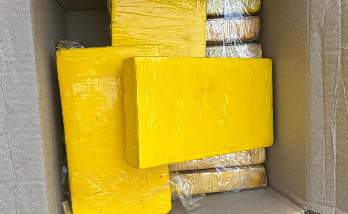 Cayó una banda narco.