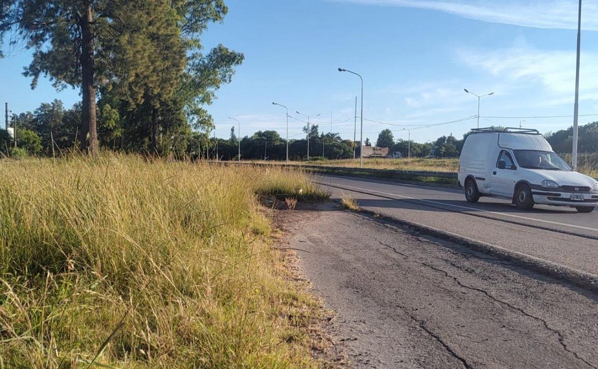 La falta de mantenimiento en la banquina de Circunvalación, en Rosario.