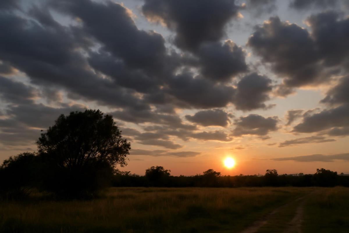 Clima en Córdoba: pronóstico del tiempo para el 26 de julio