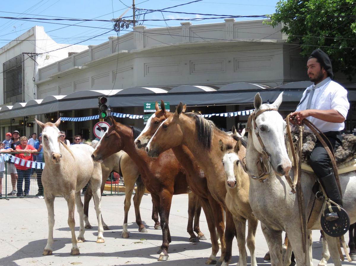 FOTO: Fiesta de la Tradición en La Carlota