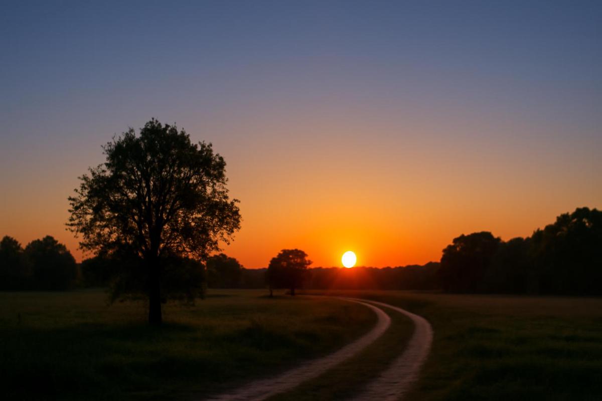 Estado del tiempo en CABA para el 14 de junio