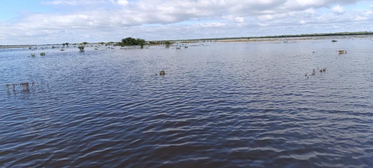 Lluvias en el norte santafesino