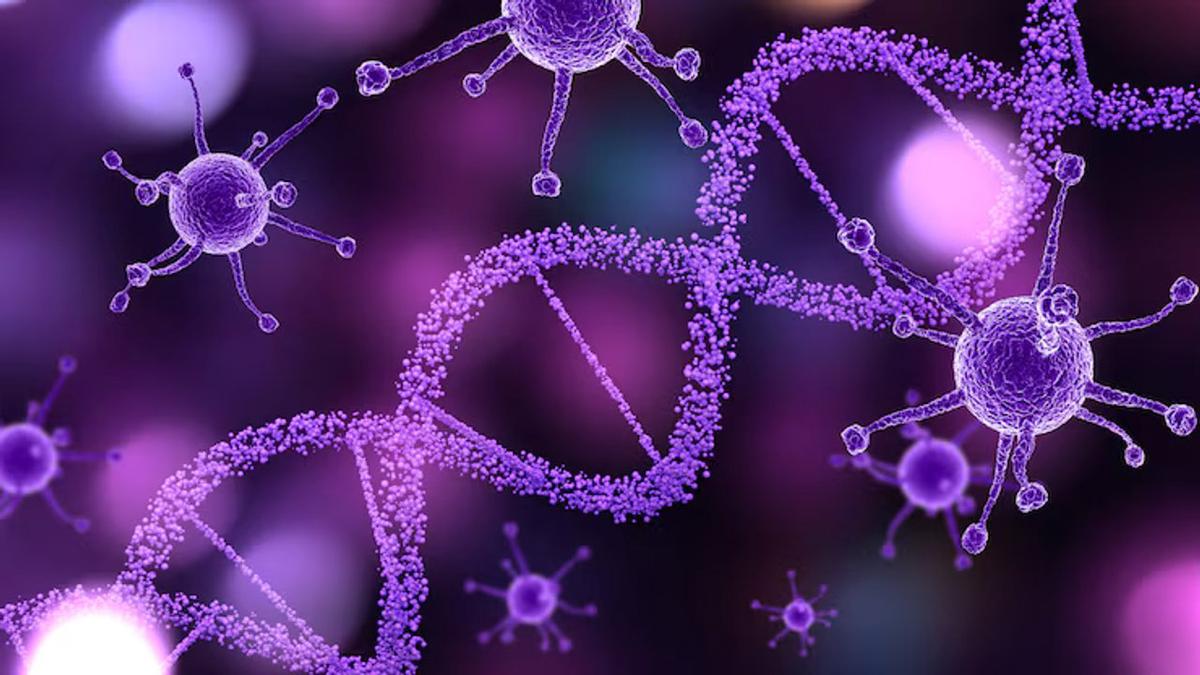 Nuevo plan nacional para el uso responsable de antimicrobianos en Argentina