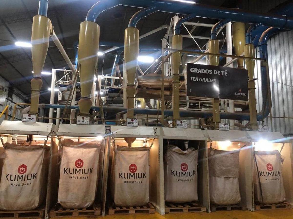 Klimiuk Infusiones: de acopiar yerba a competir con los gigantes mundiales del té.