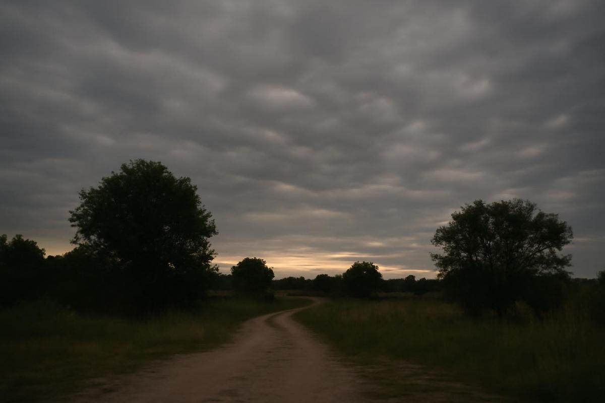 Clima en Rosario: pronóstico del tiempo para el 18 de julio