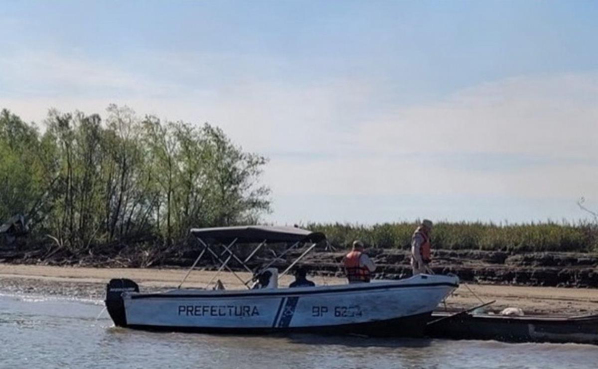 FOTO: Fuego en el delta del Paraná: un detenido por incendio intencional en Victoria.