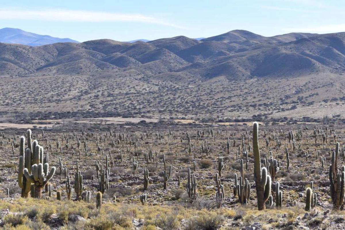 Descubren un sistema agrícola prehispánico único en Coctaca, Jujuy