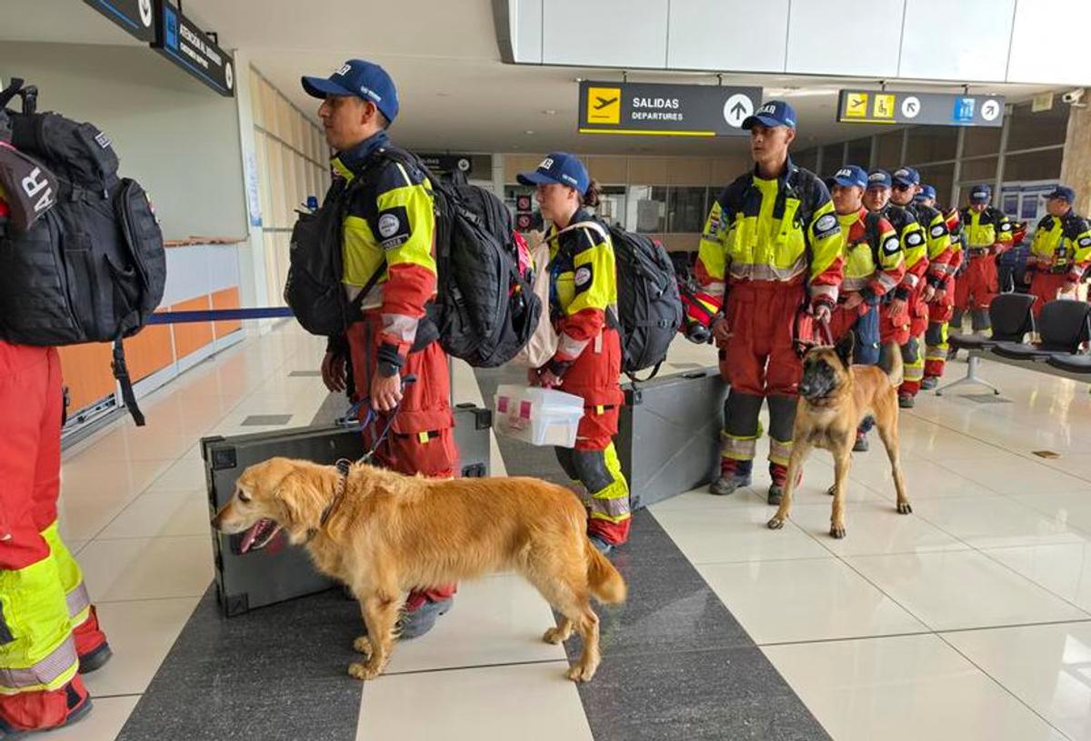 Perros rescatistas tienen un papel protagónico tras los sismos en Venezuela.