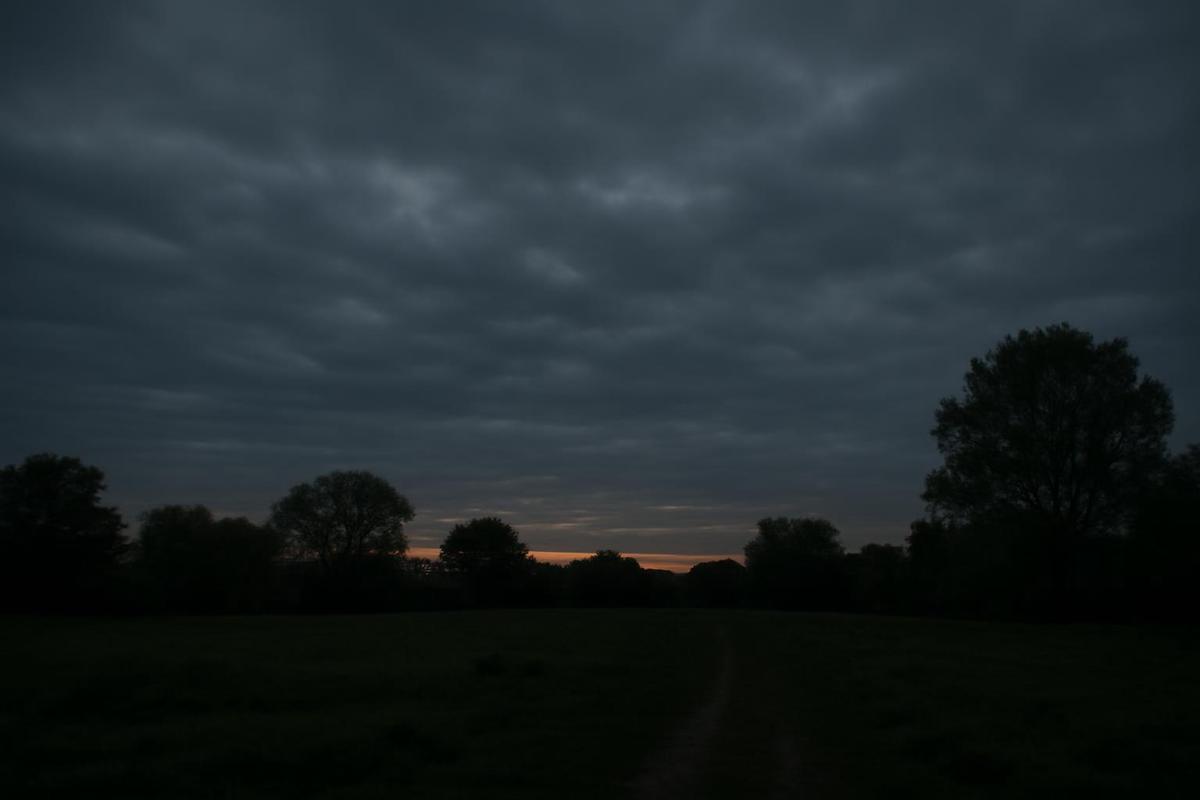 Clima en Salta: pronóstico del tiempo para el 10 de abril