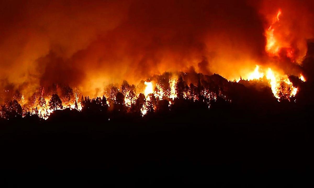 Nuevas medidas para evitar incendios forestales en diversos Parques Nacionales