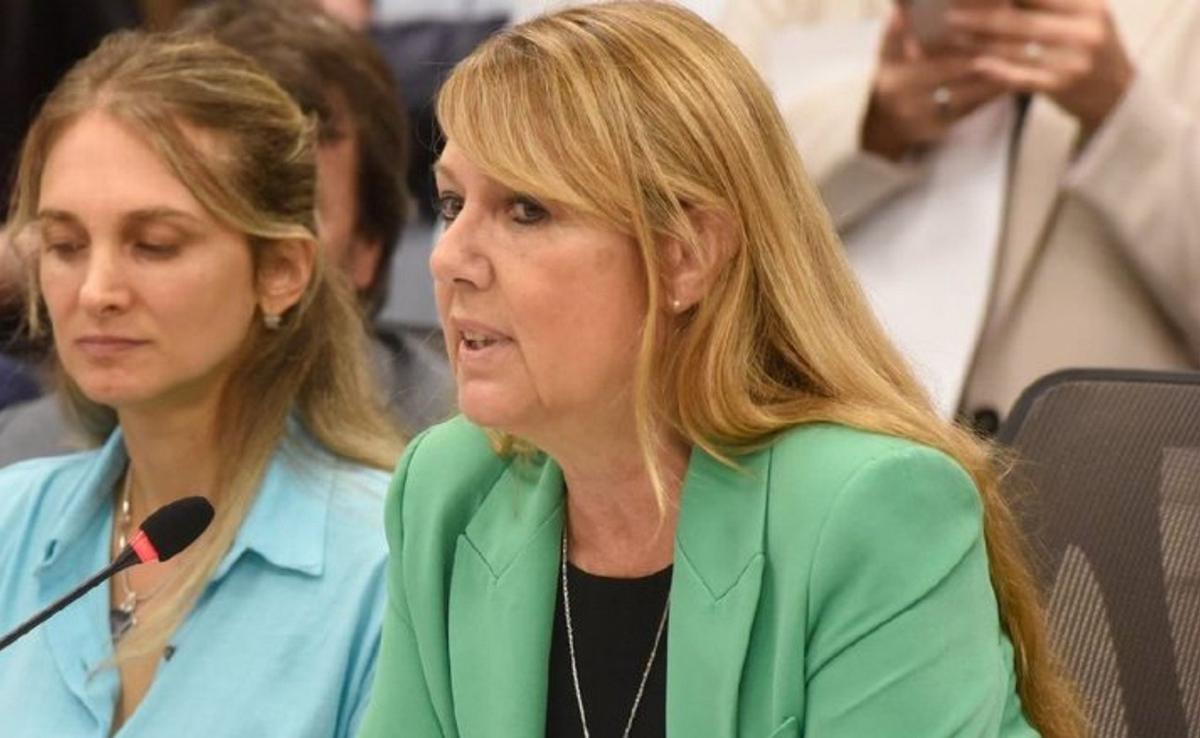 Alejandra Torres reclama un "ordenamiento del PAMI para una gestión eficiente".