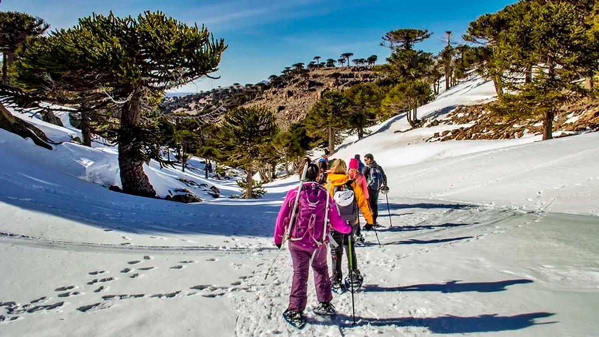 Neuquén lanza la Temporada 2026 con la mayor oferta de esquí del país