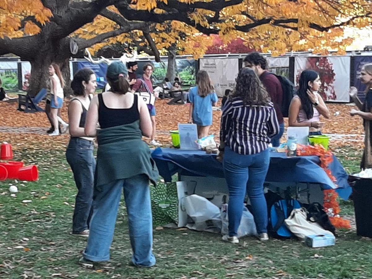 FOTO: En Washington, el barrio de Georgetown se encuentra decorado con calabazas 