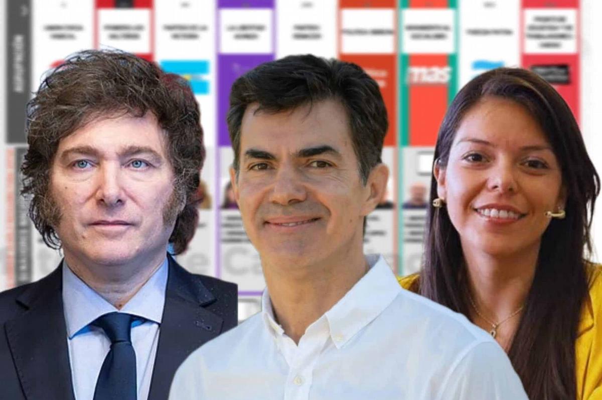 El kirchnerismo salteño pierde su banca en el Senado a favor de los libertarios