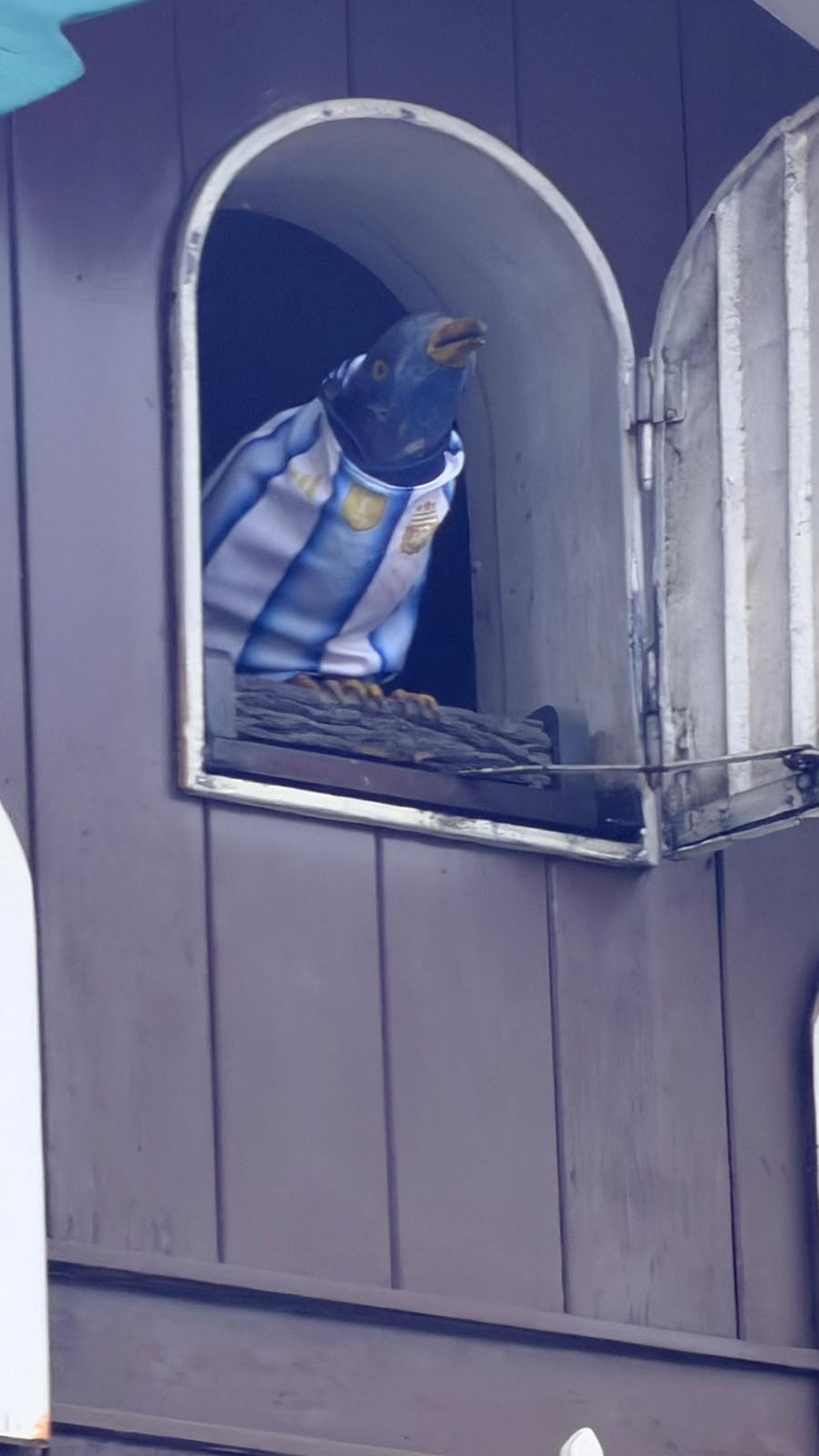 El Cucú se puso la celeste y blanca.