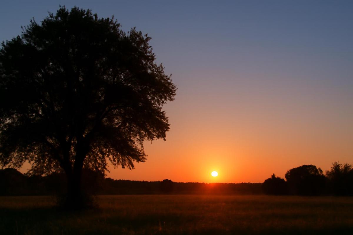 Estado del tiempo en Santa Fe para el viernes 20 de febrero