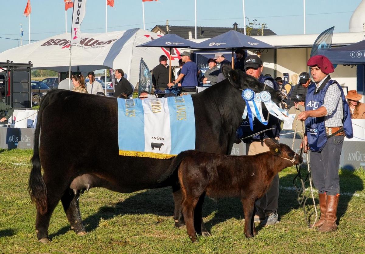 El título de Gran Campeón Hembra fue para la cabaña Arandú