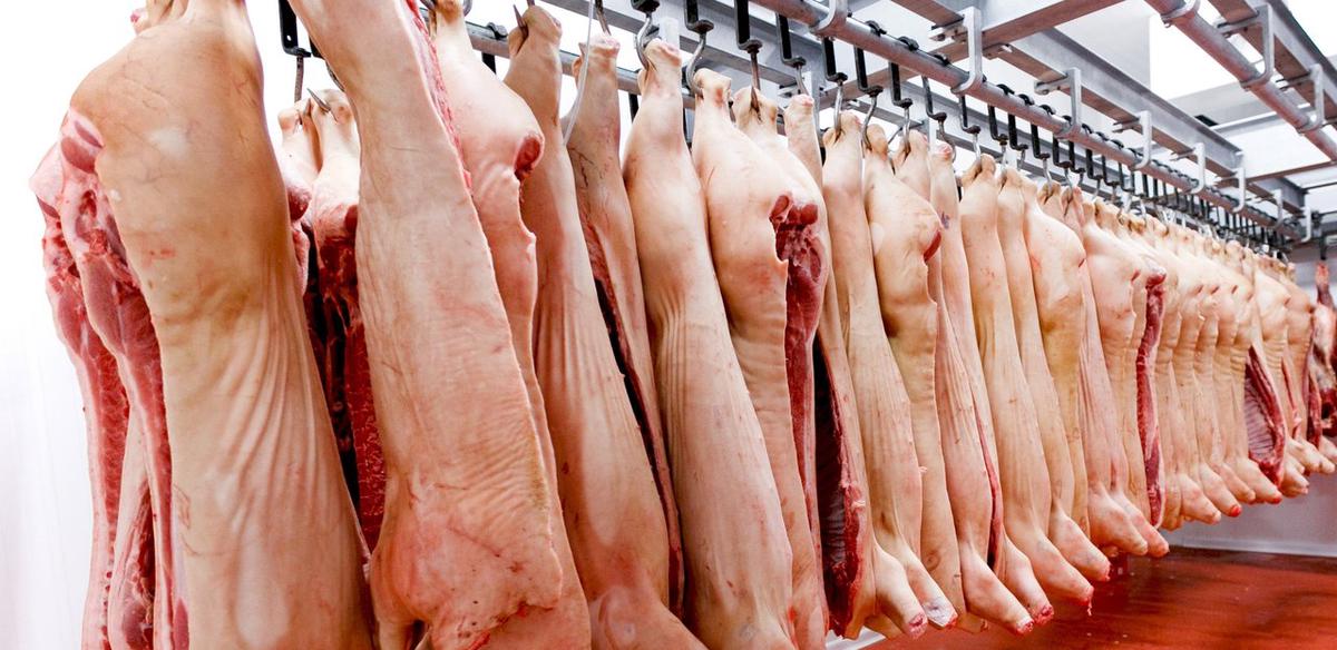 Córdoba: más de 100 kilos de carne porcina decomisados en Miramar