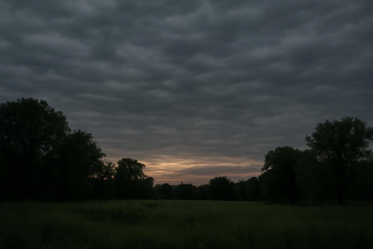 Clima en Salta: pronóstico del tiempo para el 15 de abril