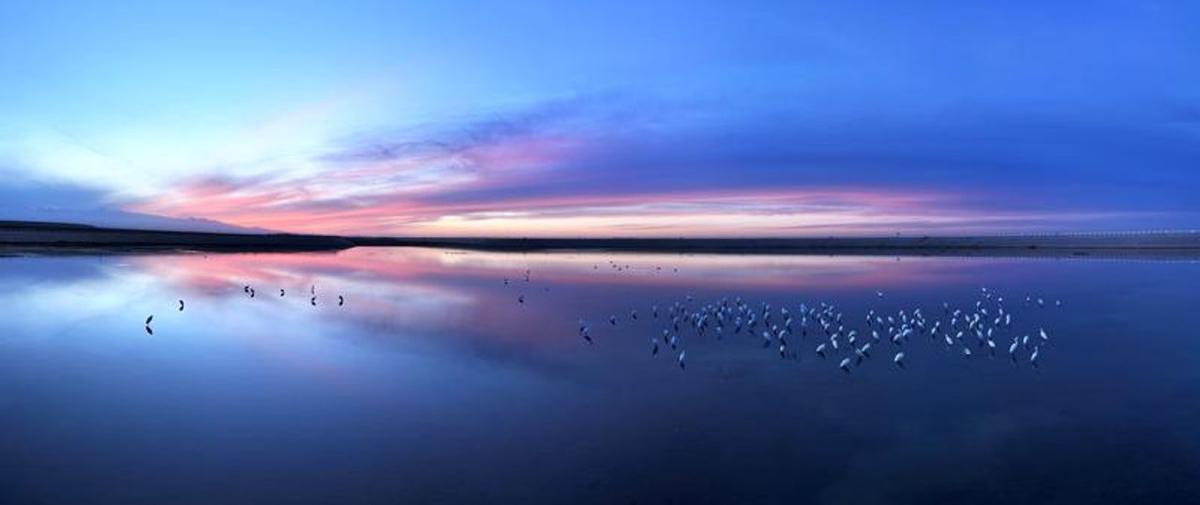Por qué el 11/11 es considerado un día especial para manifestar deseos al universo