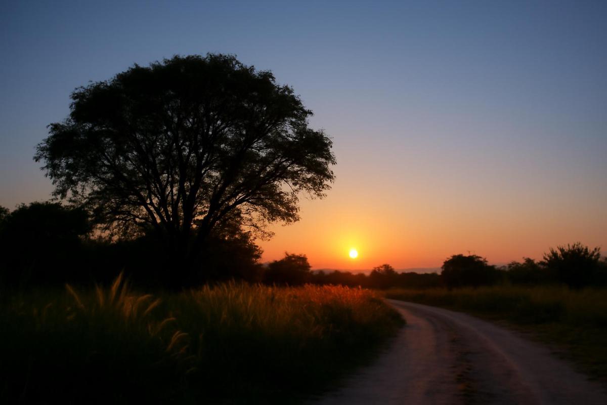 Clima en Salta: pronóstico del tiempo para el 27 de agosto