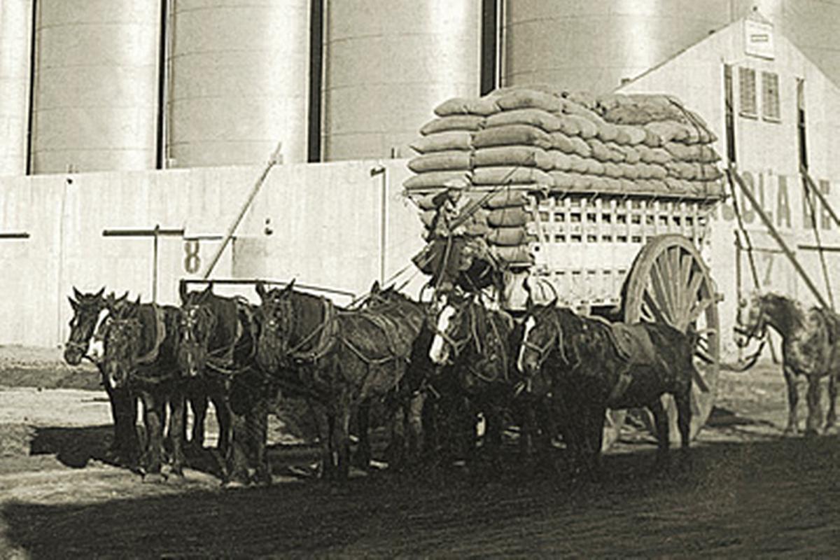 Unión Agrícola de Leones 