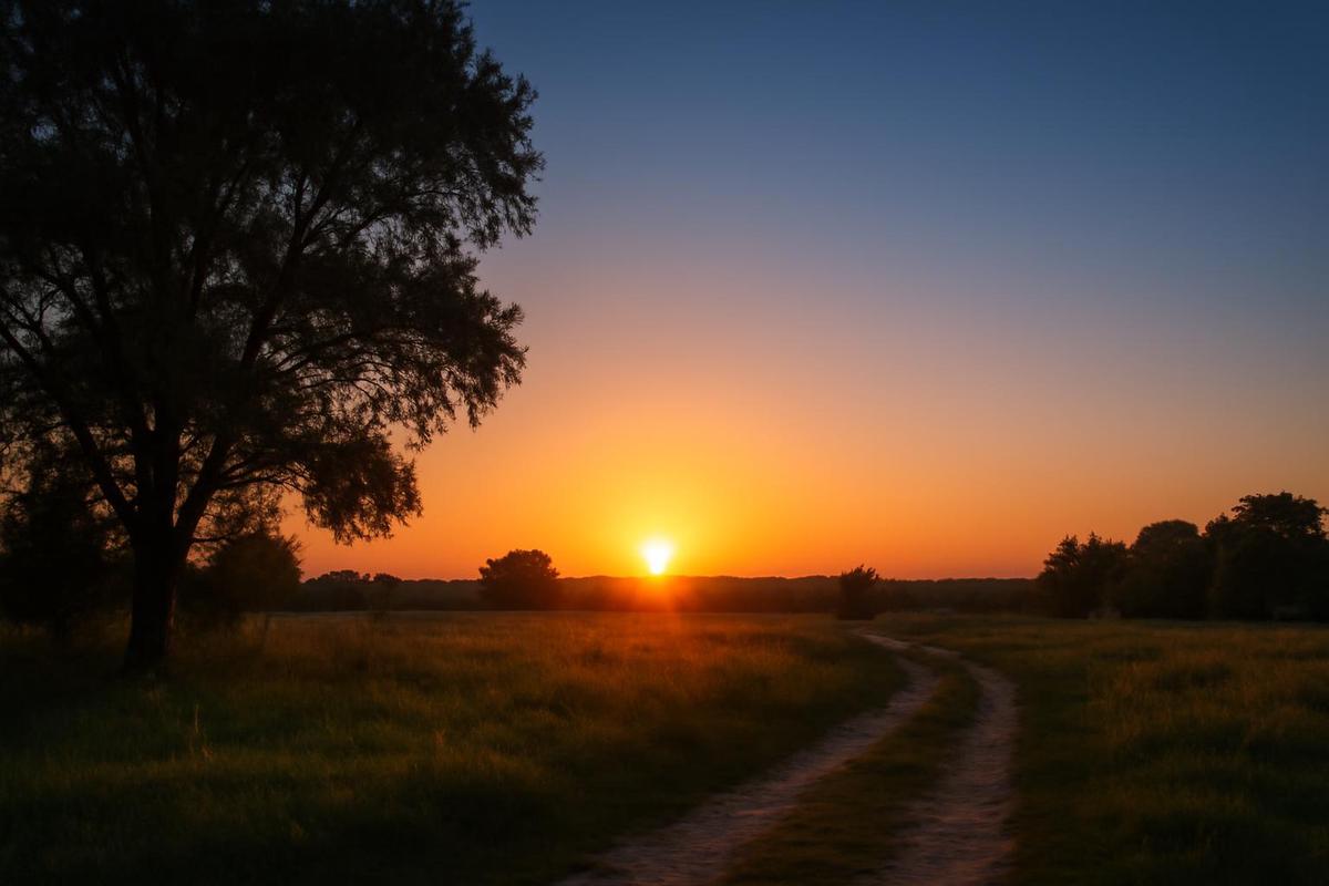 Clima en Rosario: pronóstico del tiempo para el 13 de diciembre