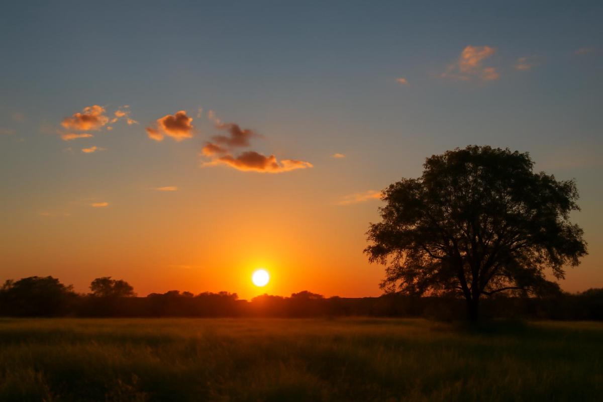 Clima en Córdoba: pronóstico para el 30 de diciembre