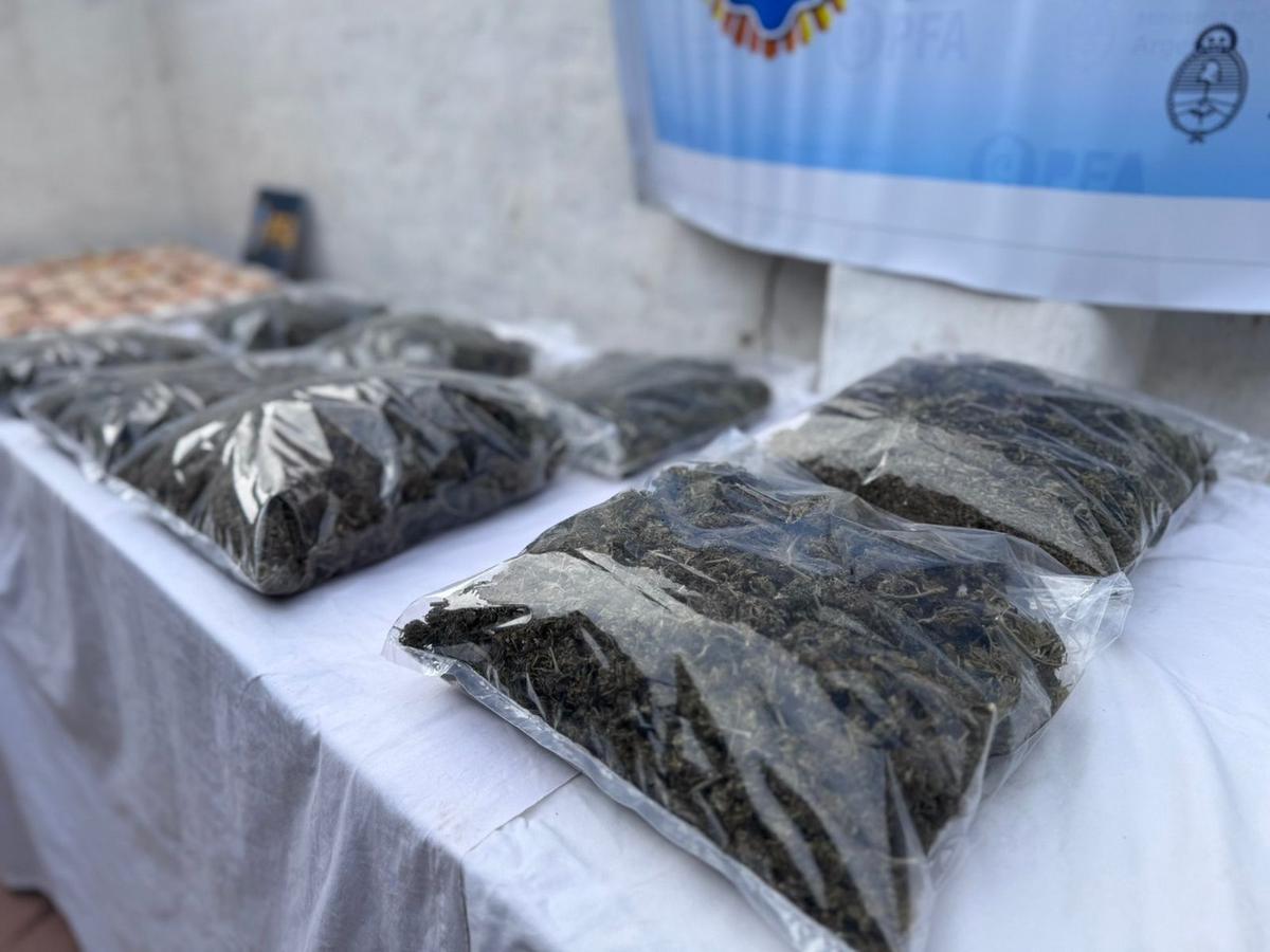 FOTO: Operativo antidrogas de la Policía Federal en Córdoba. (PFA)