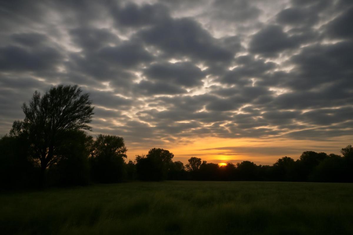 Clima en CABA: pronóstico del tiempo para el 20 de octubre