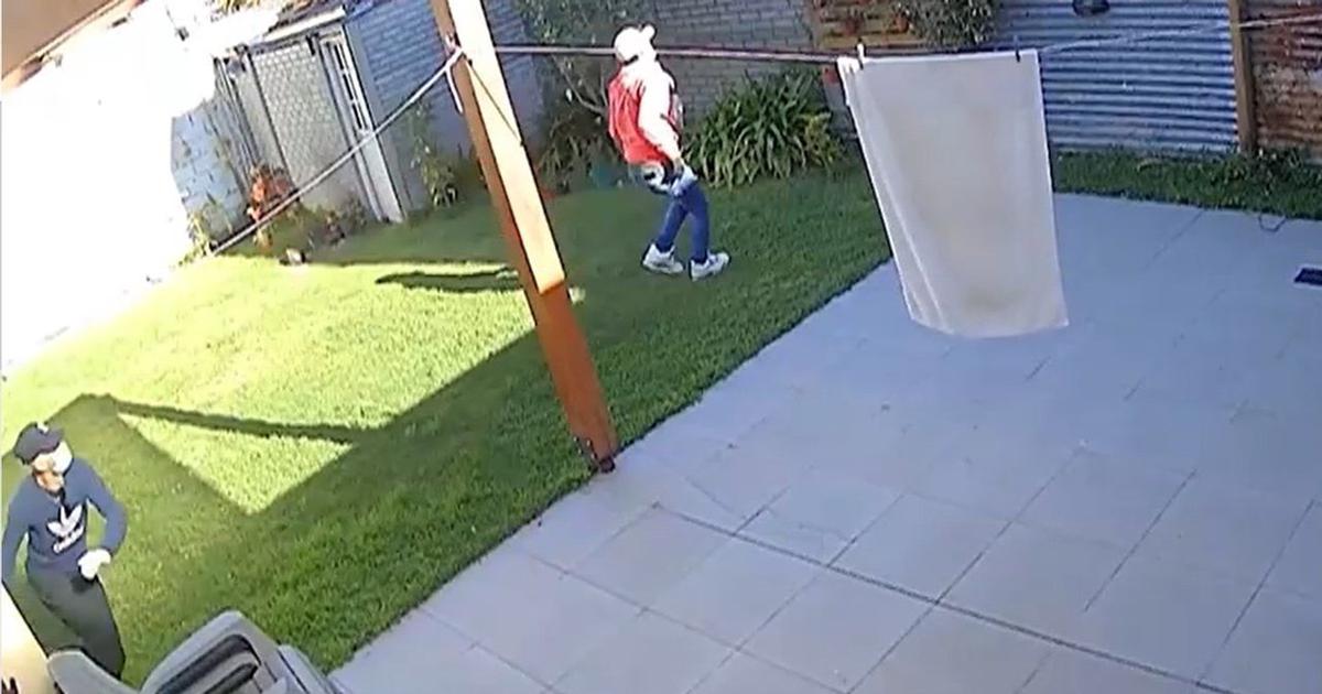 Asalto violento a jueza en La Plata: tres delincuentes sorprendieron a la magistrada en su hogar