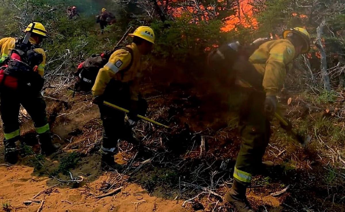 Incendio en Cafayate consume más de 200 hectáreas de bosque nativo en Salta. (NA)
